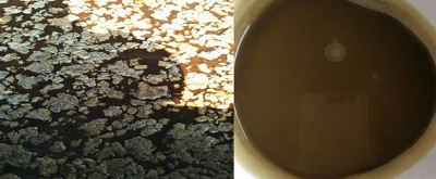 油泥油渣 油泥油渣